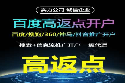 百度竞价赚钱的五大经典案例揭秘